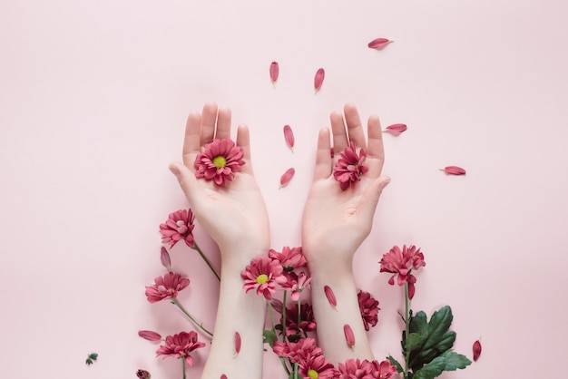 Beautiful female hands with purpure flowers