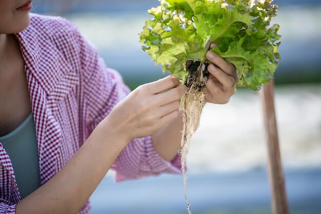 Beautiful female holds fresh vegetables produce from the rooftop greenhouse garden and planning organic farm