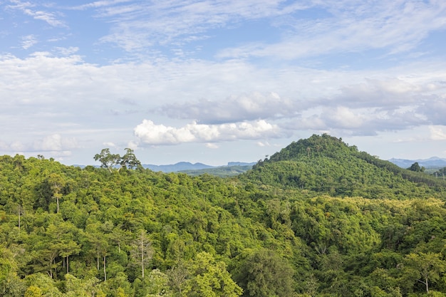 Bellissima campagna forestale fertile della thailandia pomeriggio soleggiato cielo dell'albero e colline ondulate