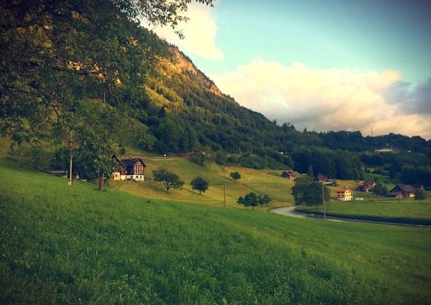 Photo beautiful field landscape