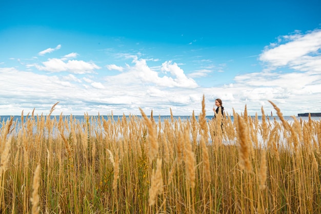 Beautiful field near the sea and blue sky with clouds