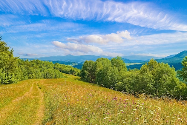 Beautiful field with a dirt road on a hill covered with hills of grass and flowers behind the mountain and the sky with barns landscape background