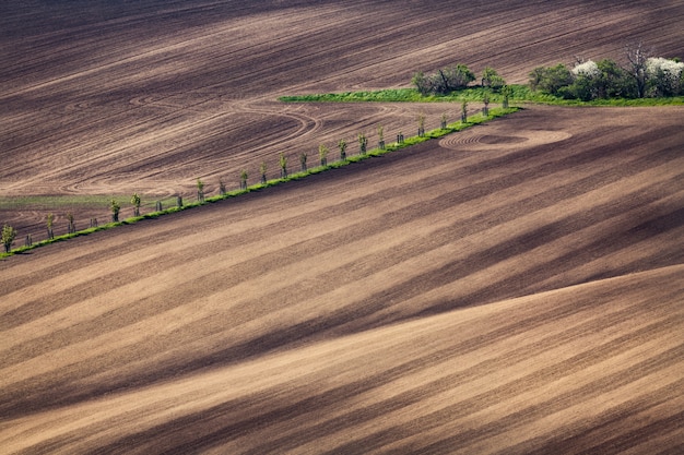 Beautiful fields in South Moravia, Czech Republic