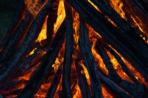 Beautiful fire flames on a campfire closeup