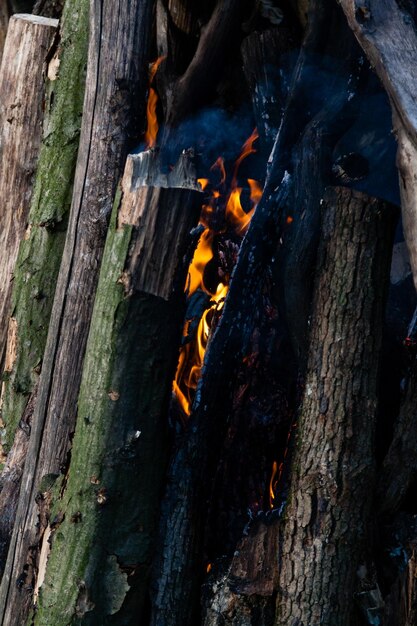 Beautiful fire flames on a campfire closeup