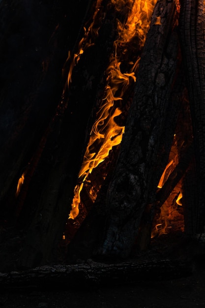 Beautiful fire flames on a campfire closeup