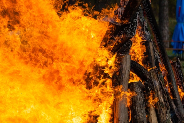 Beautiful fire flames on a campfire closeup