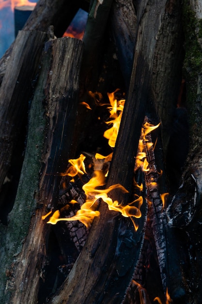 Beautiful fire flames on a campfire