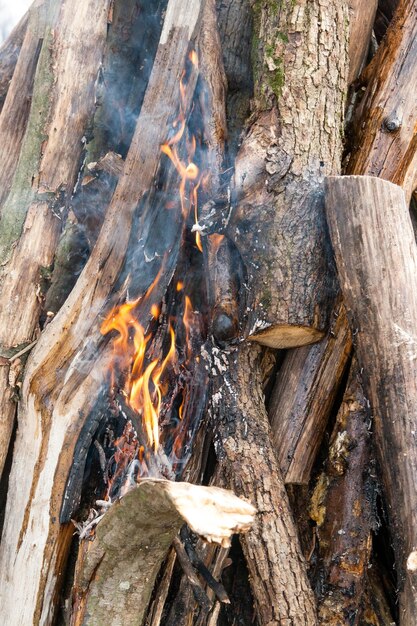 Beautiful fire flames on a campfire