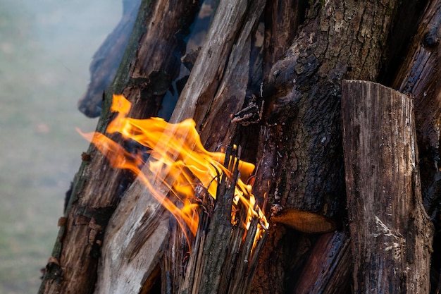 Belle fiamme di fuoco su un falò