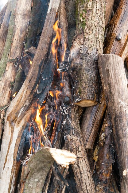 Beautiful fire flames on a campfire