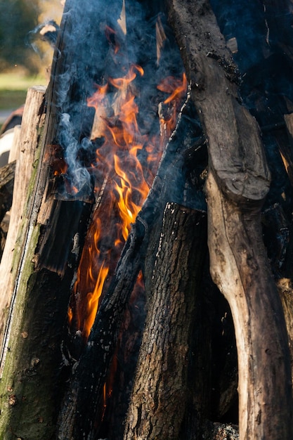 Beautiful fire flames on a campfire