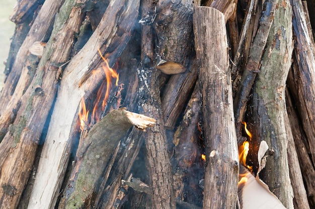 Beautiful fire flames on a campfire