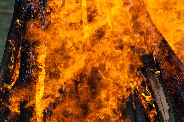 Beautiful fire flames on a campfire