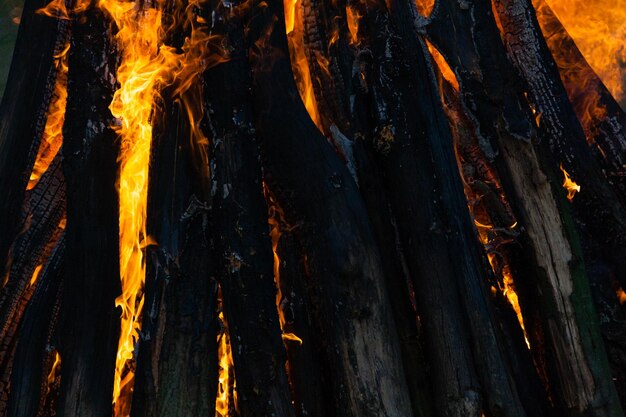 Beautiful fire flames on a campfire