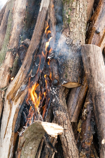 Beautiful fire flames on a campfire