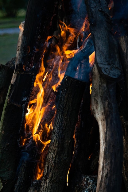 Beautiful fire flames on a campfire