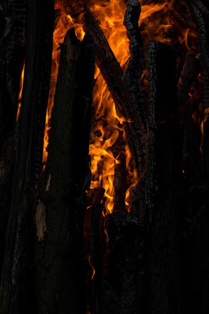 Beautiful fire flames on a campfire