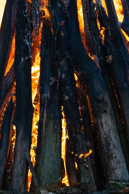 Beautiful fire flames on a campfire