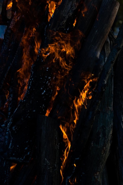 Beautiful fire flames on a campfire