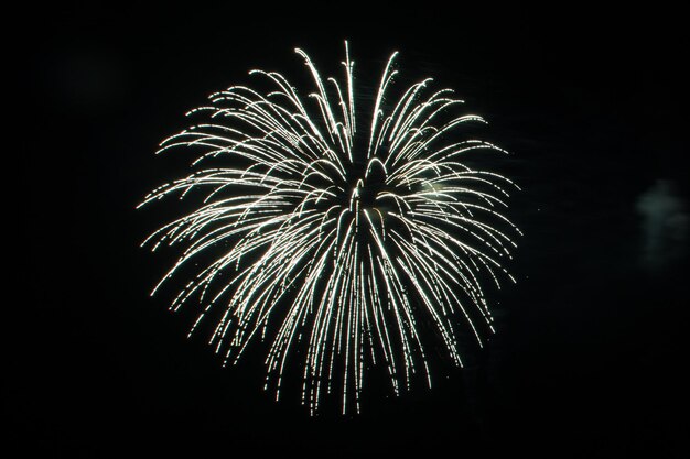 Beautiful firework display for celebration