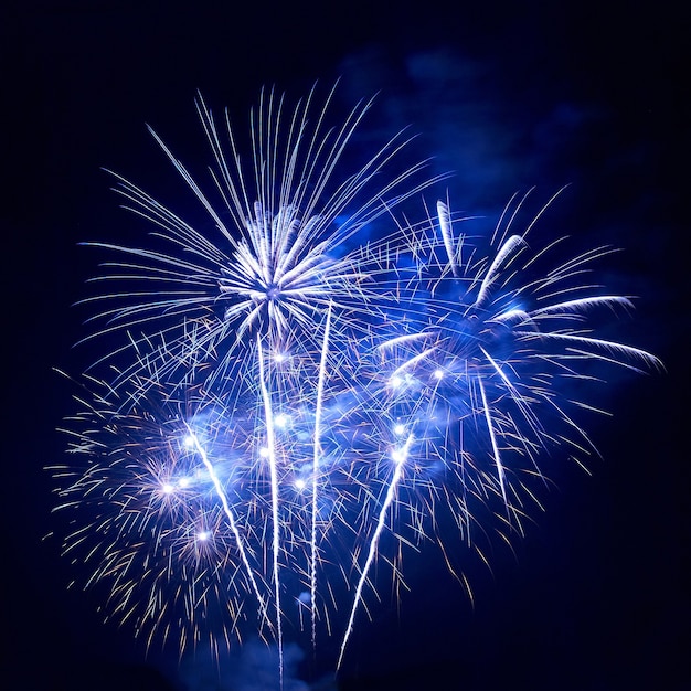 Beautiful fireworks on the black sky background