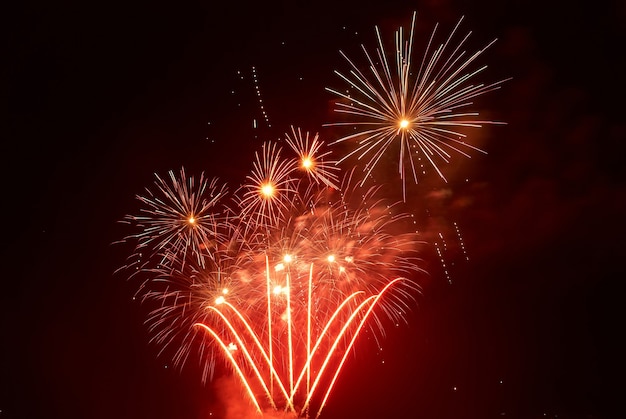 Beautiful fireworks on the black sky background