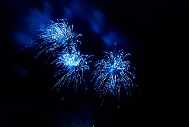 Bellissimi fuochi d'artificio sullo sfondo del cielo nero