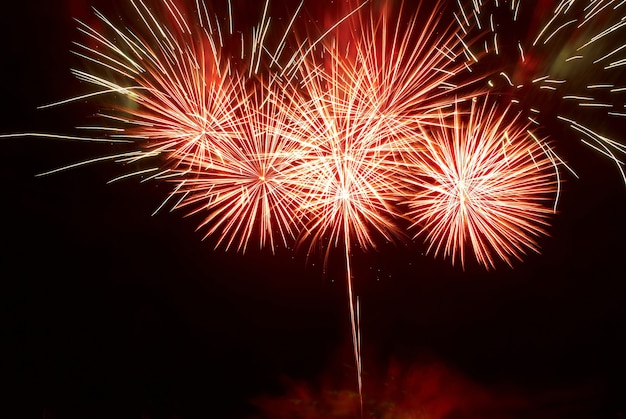 Bellissimi fuochi d'artificio sul cielo nero