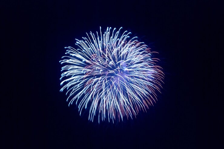 Beautiful fireworks on the black sky