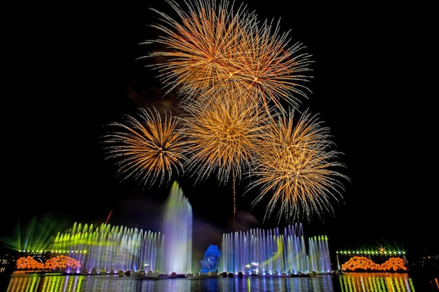 Bellissimi fuochi d'artificio nel cielo notturno