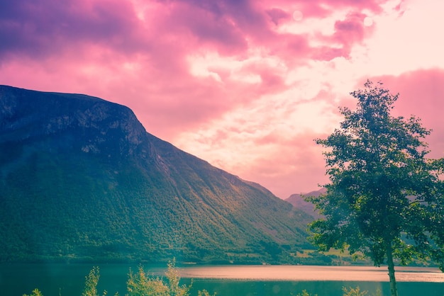 Beautiful fjord and rocks Rocky seashore in the evening Beautiful nature of Norway Picturesque Scandinavian landscape Norway