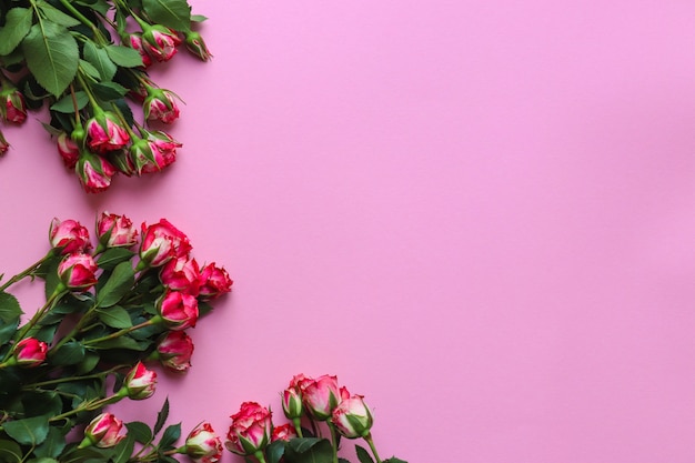 ピンクの背景に美しいフラワーアレンジメント。ピンクのバラとテキストのコピースペース