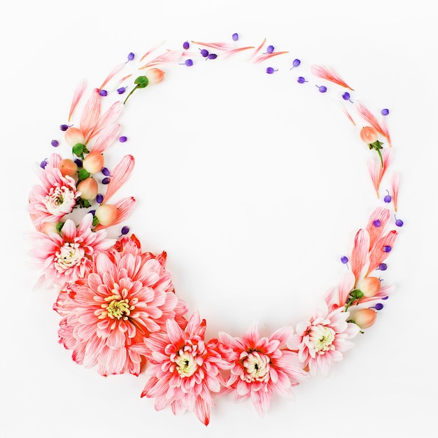 Beautiful floral arrangements. Pink chrysanthemums in the shape of round frame on white background. Flat lay, top view.