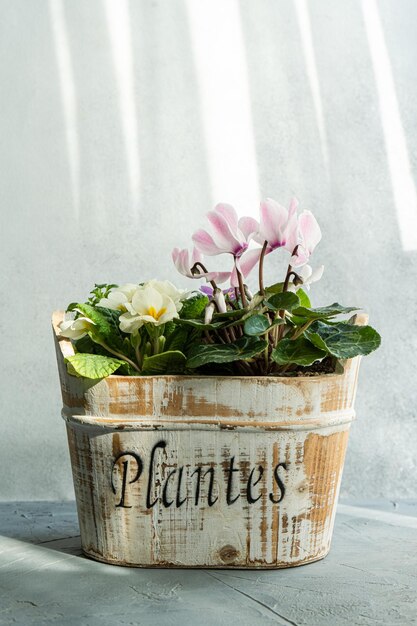 Foto bella composizione floreale nel vaso