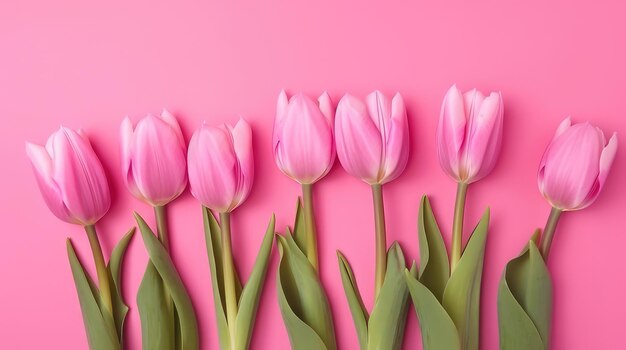 Beautiful floral set with spring tulip flowers on a pink background Spring concept Generative AI