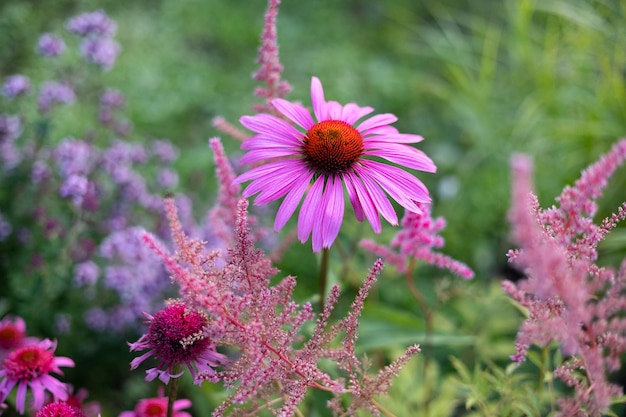 Beautiful flower bed