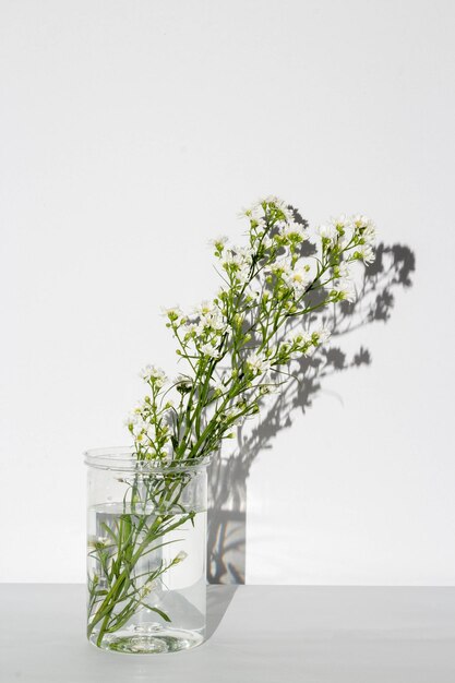 美しい花の概念白い背景の上に花瓶に咲く白いカッターの花序