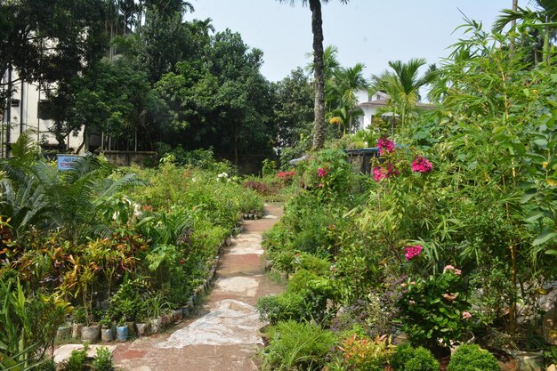 Photo a beautiful flower garden