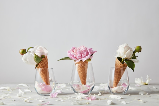 Beautiful flower in a wafer horn on a gray concrete background