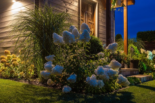 Beautiful Flowering Shrub in the Garden