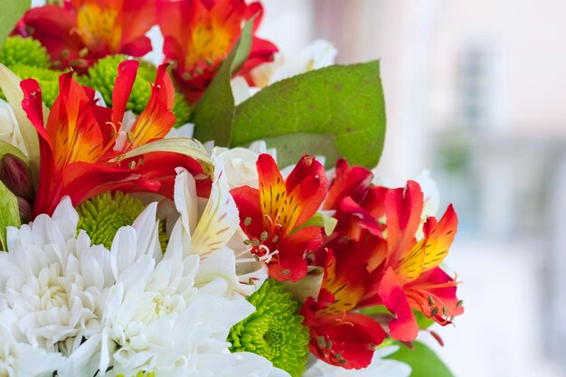 Beautiful flowers against the background of a window Flower background Flowers closeup