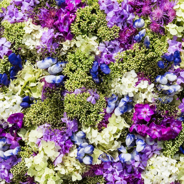 Beautiful flowers background. Top view