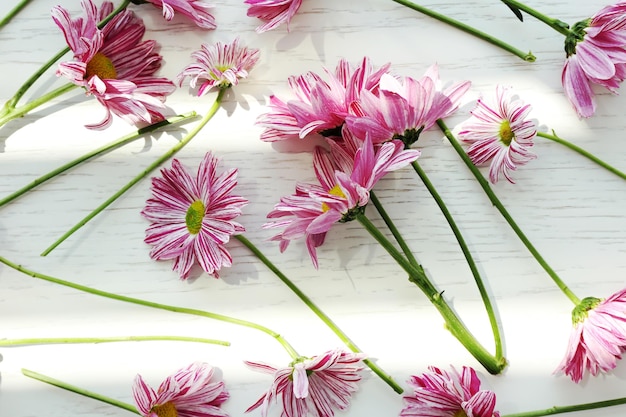 Beautiful flowers background