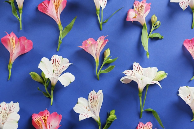 Beautiful flowers on blue background