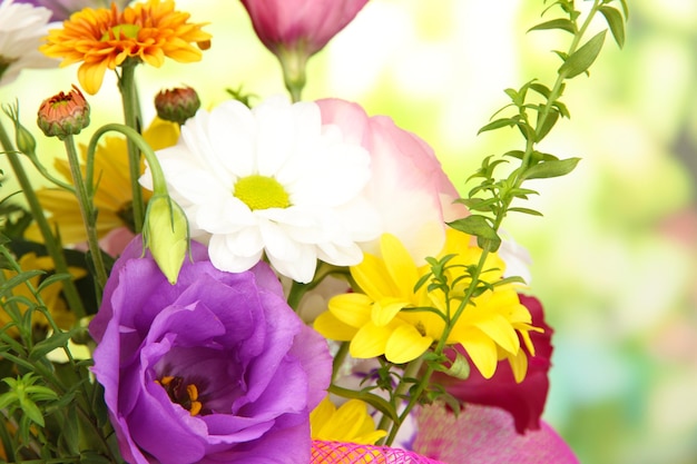 Beautiful flowers on bright background