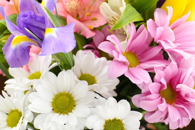 Beautiful flowers close up