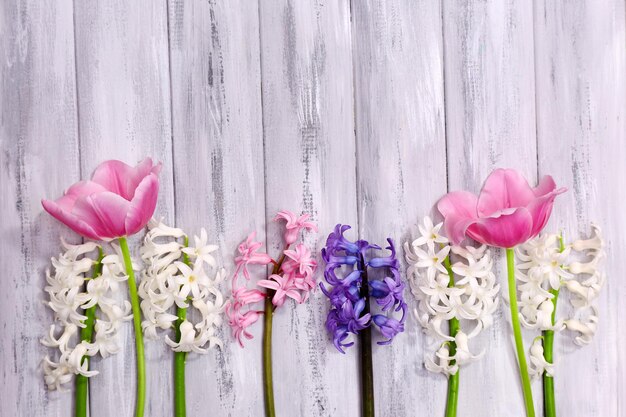 Beautiful flowers on color wooden background