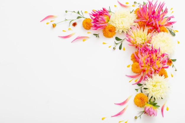 Beautiful flowers composition on white background