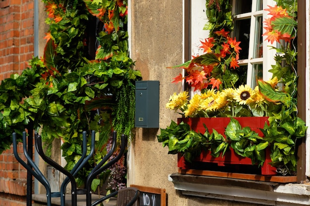 Photo beautiful flowers decorating the windows outside